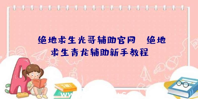 「绝地求生光哥辅助官网」|绝地求生青龙辅助新手教程